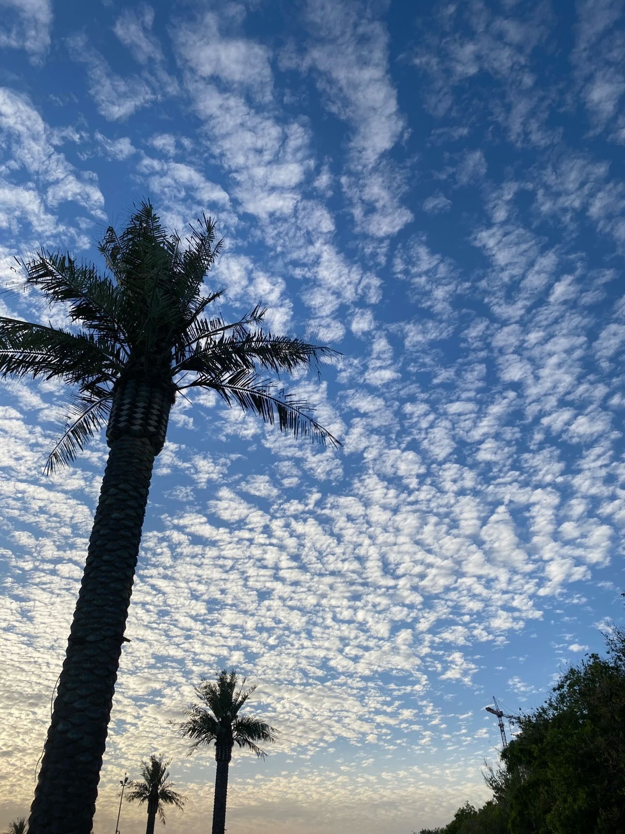974376F3-2B9A-4185-A759-D59312A9EBB2.jpg