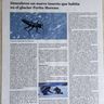 Статья в газете про насекомое, живущее в леднике.jpg