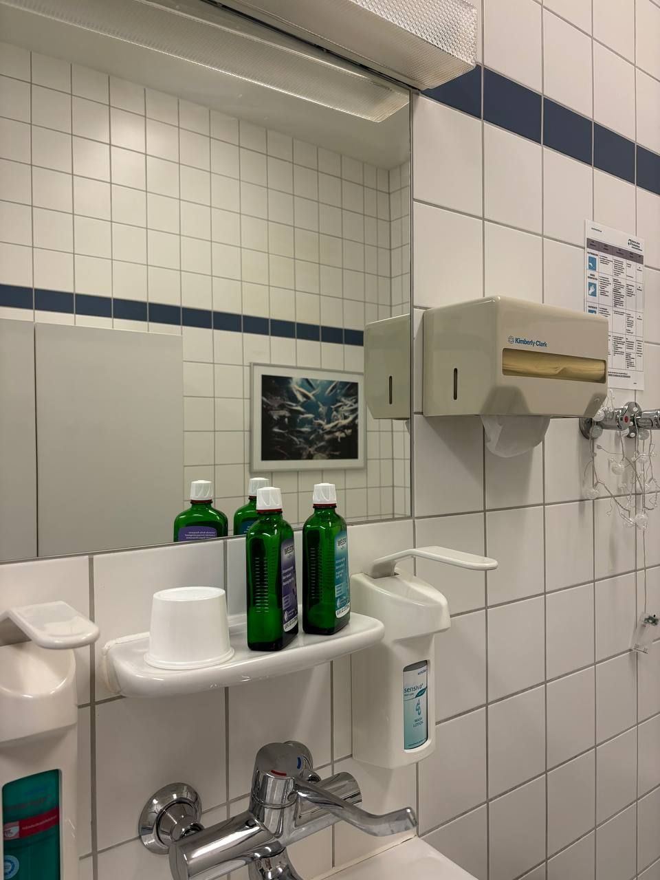 Дородовая два.JPG