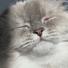 IMG_0292.jpeg