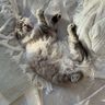 IMG_0737.jpeg