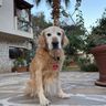IMG_1020-2-2-2.jpg