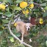 IMG_1130-2-2-2.jpeg