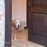 IMG_1453-2-2-2-2.jpeg