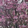 IMG_5642.jpg