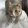 IMG_7678.jpeg