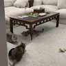 IMG_8072.jpeg