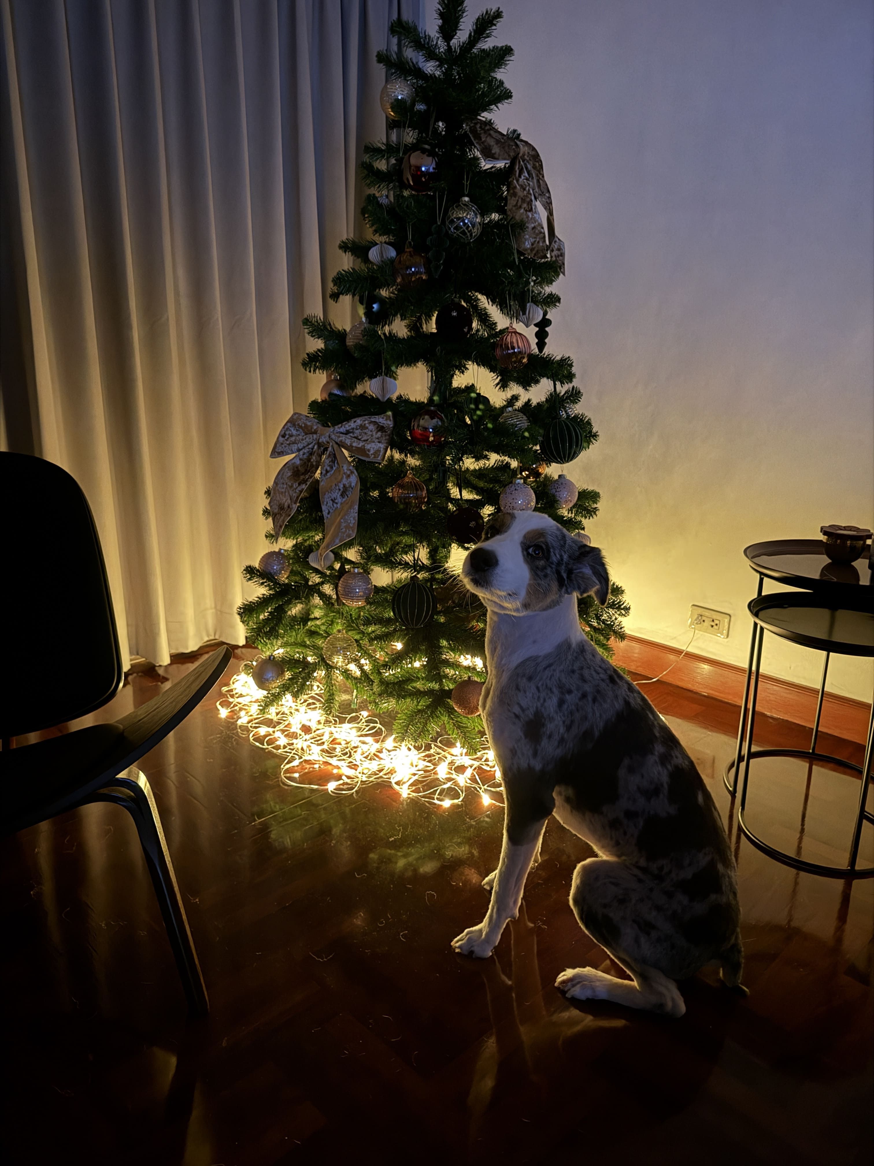 IMG_9219.jpeg