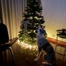 IMG_9219.jpeg