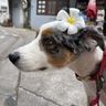 IMG_9226.jpeg