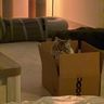 IMG_9479-2-2-2.jpeg