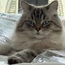 IMG_9487.jpeg