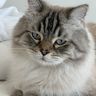 IMG_9944.jpeg