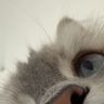 IMG_9947.jpeg