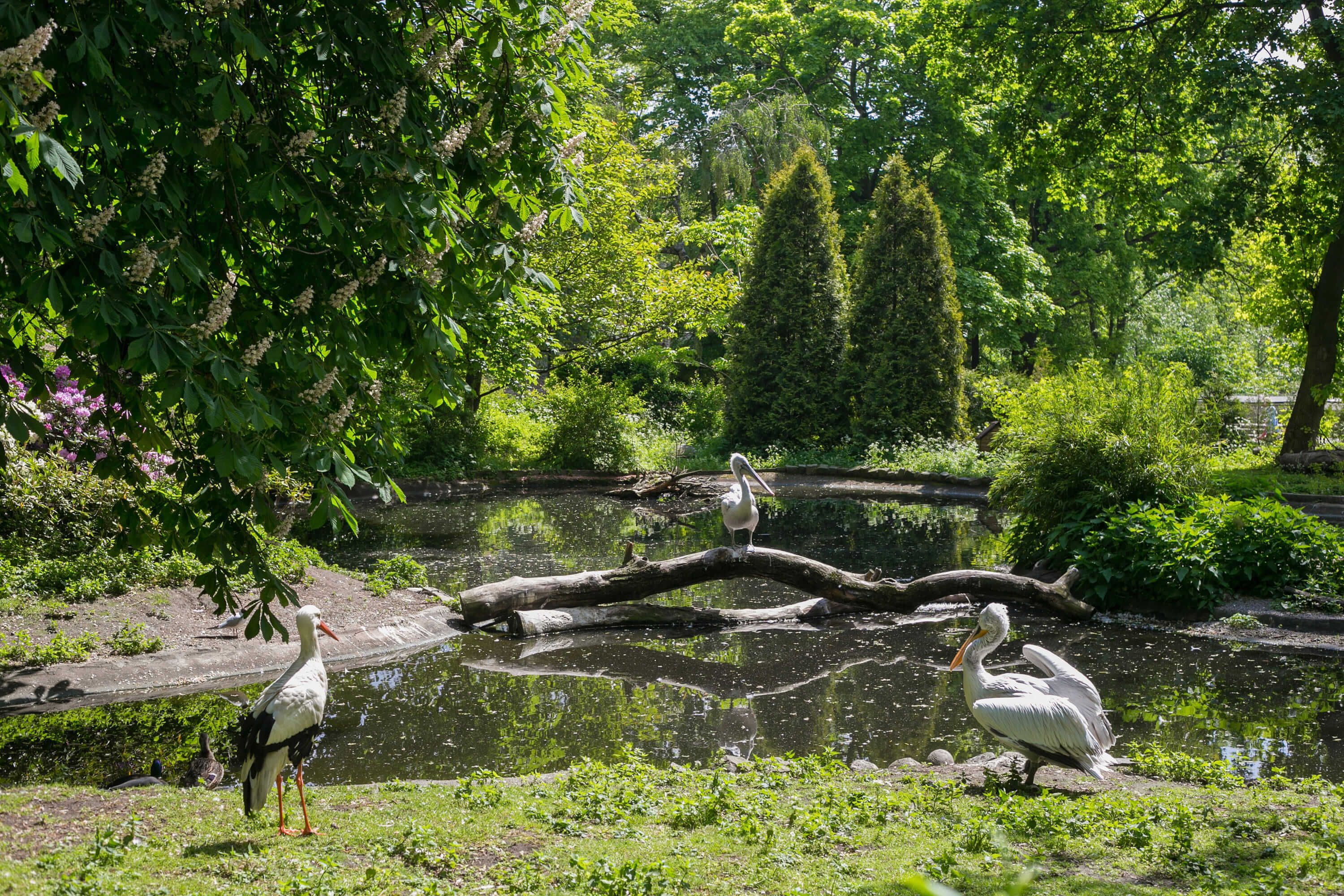 shutterstock_1035088528-2.jpg