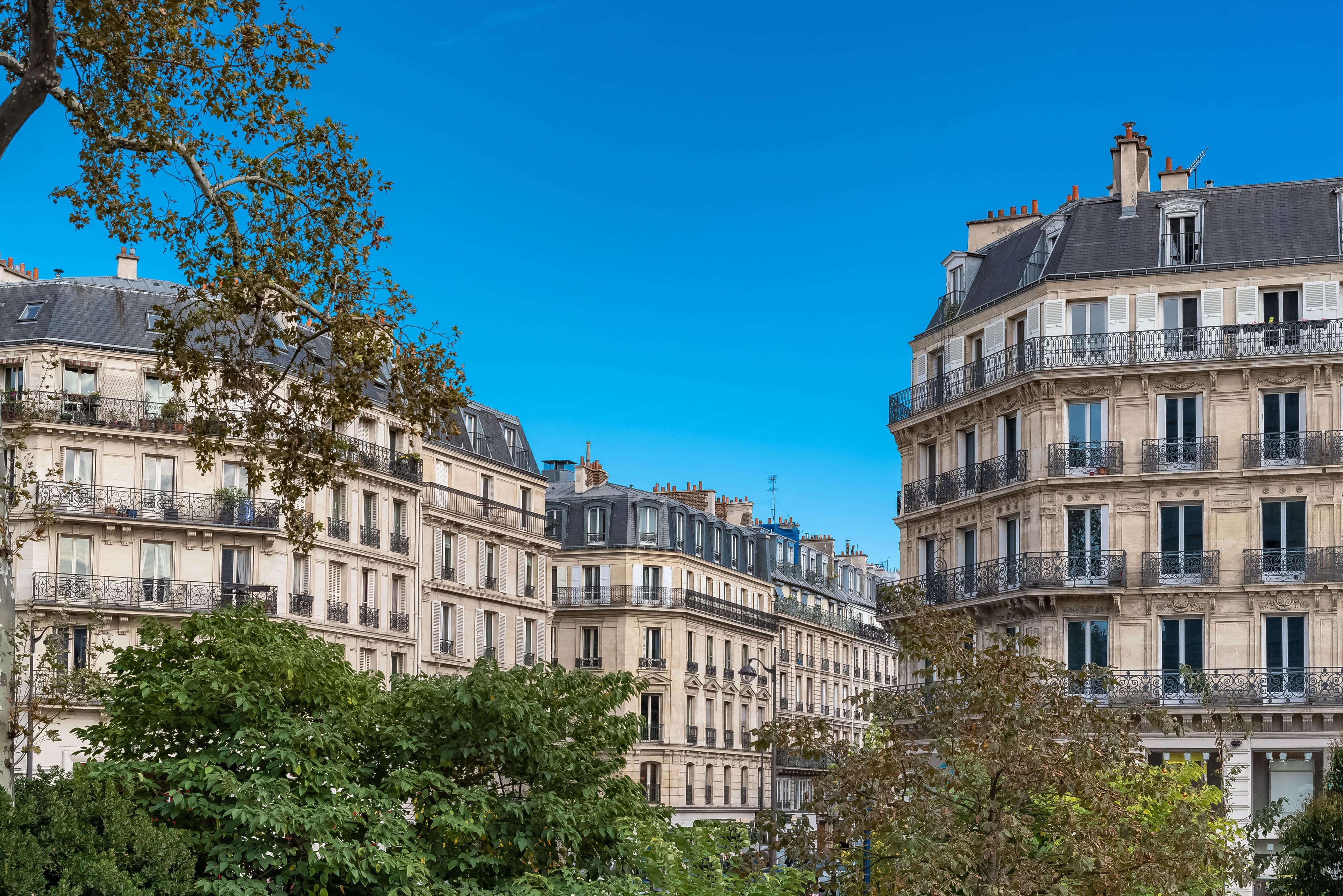 shutterstock_1193673664-2.jpg