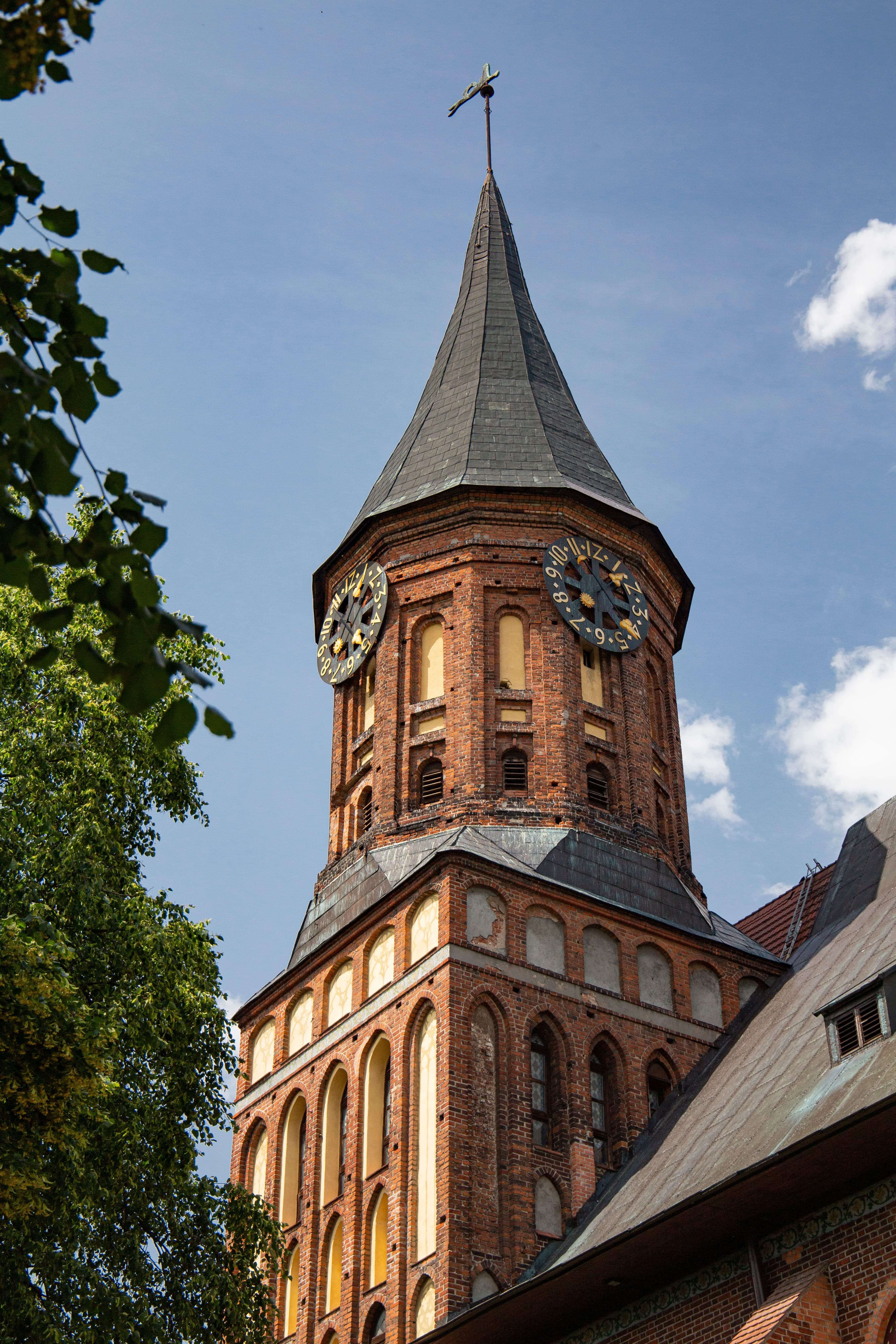 shutterstock_1554038870-2.jpg