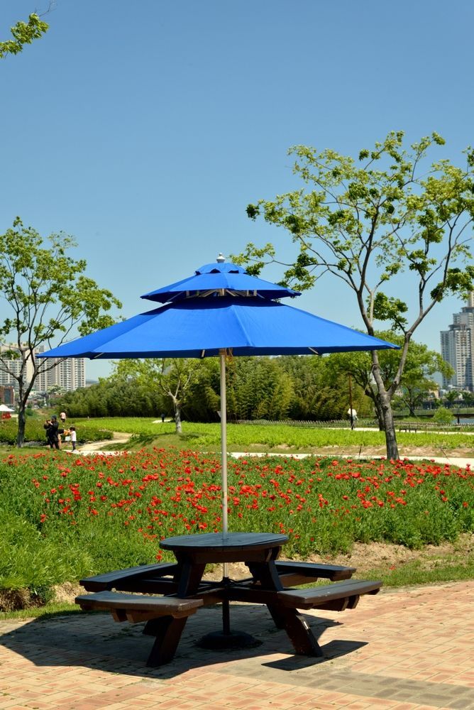 Пикник в парке