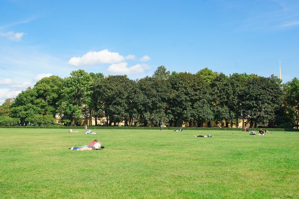 Пикник в парке