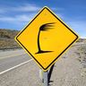 shutterstock_573639916.jpg