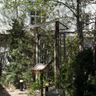 Ресторан в Москве