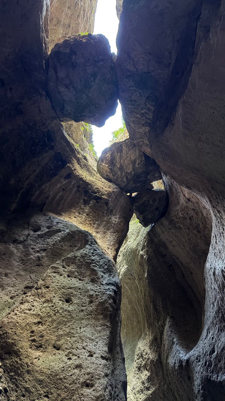 photo_2026-07-24_15-10-19.jpg