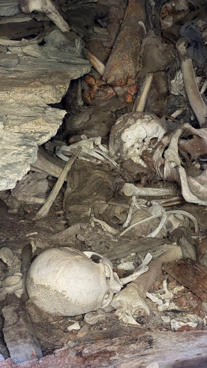 photo_2026-07-24_15-18-40.jpg