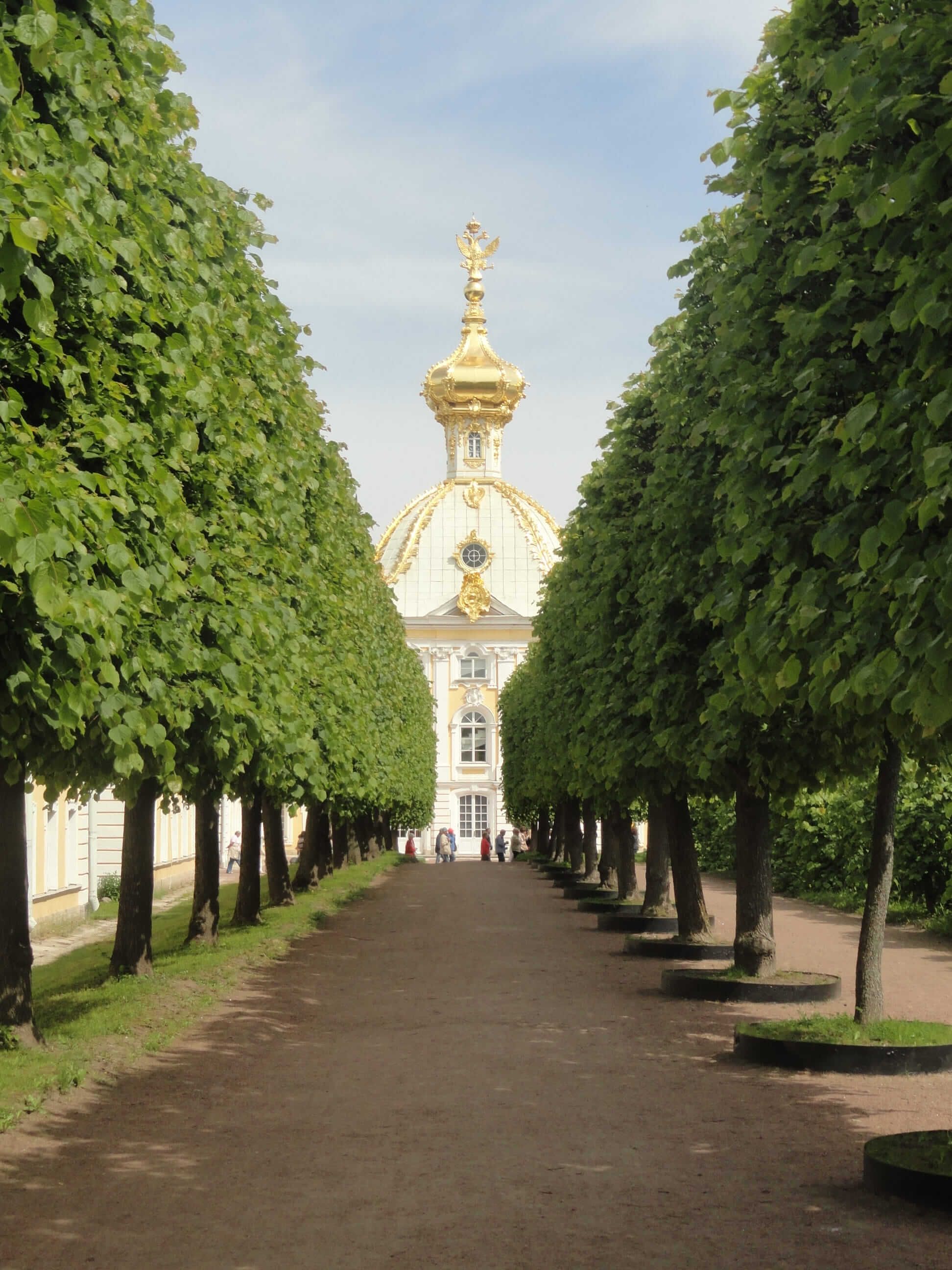 петергоф.jpg
