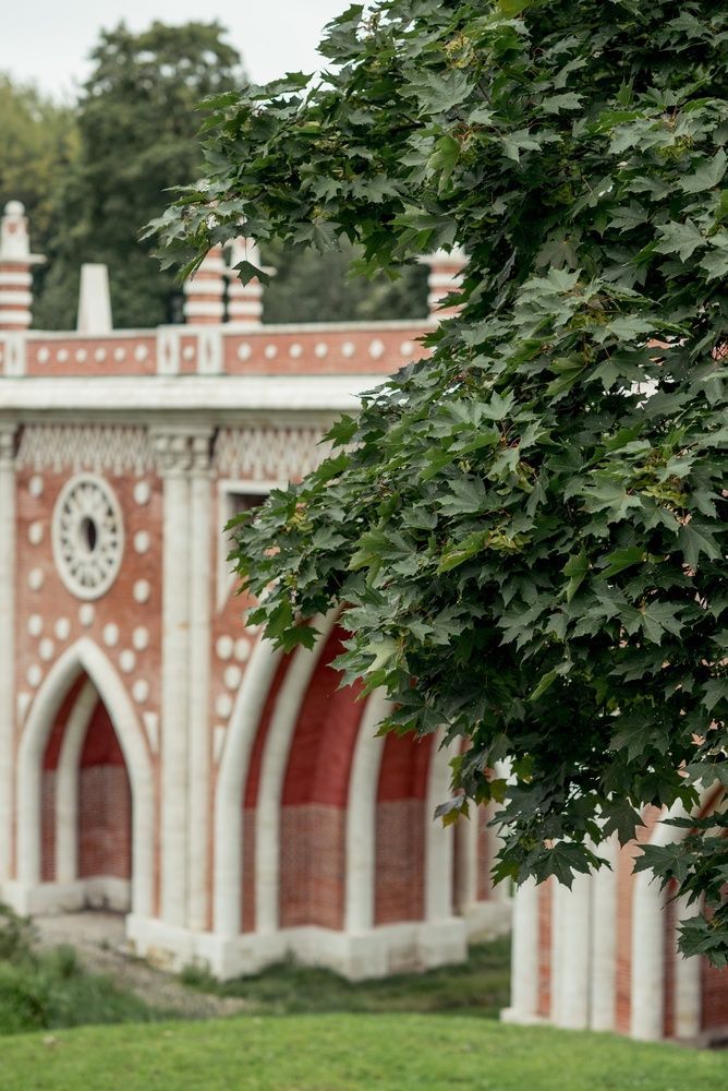 Парк «Царицыно» в Москве