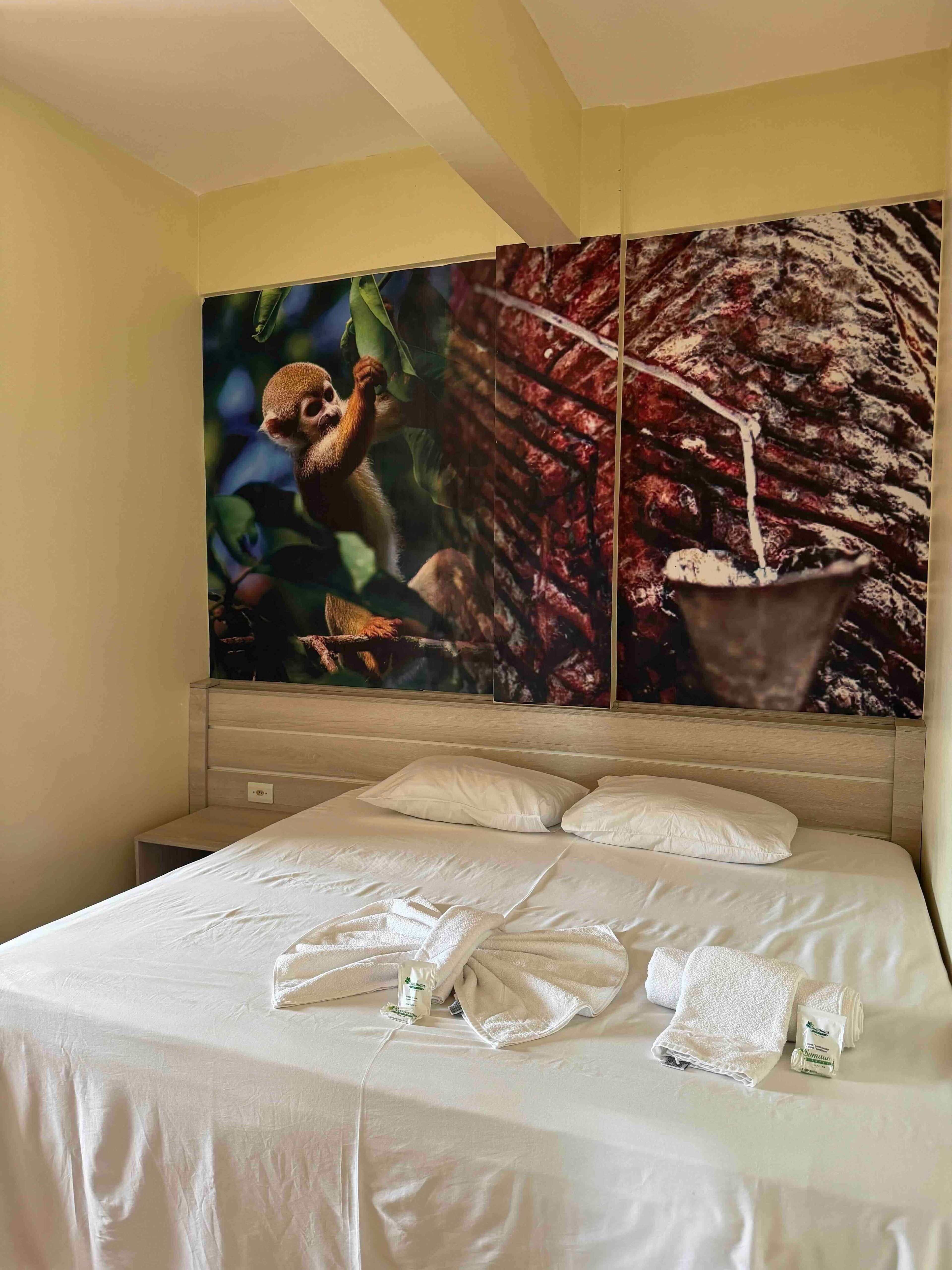 Отель Sumauma в Тефе.jpeg