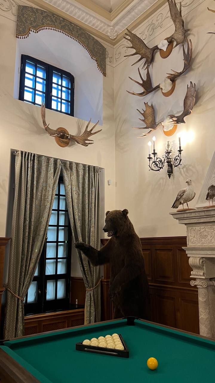 Несвижский замок