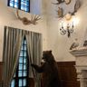 Несвижский замок