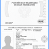 биометрический паспорт .png