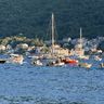 IMG_5633.jpg