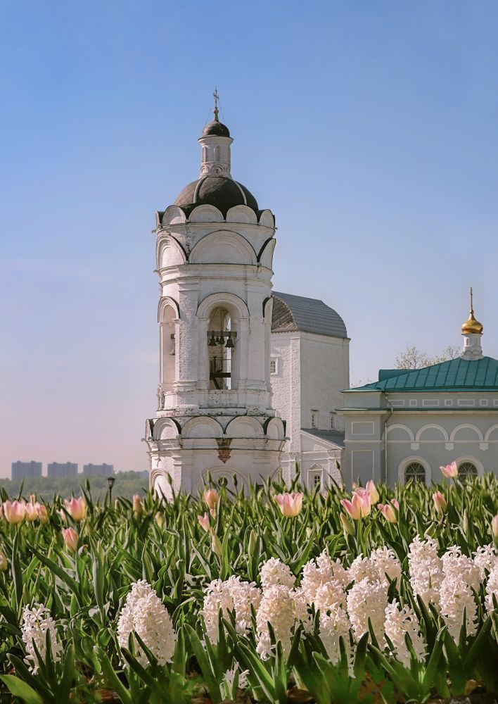 Парк «Коломенское» в Москве