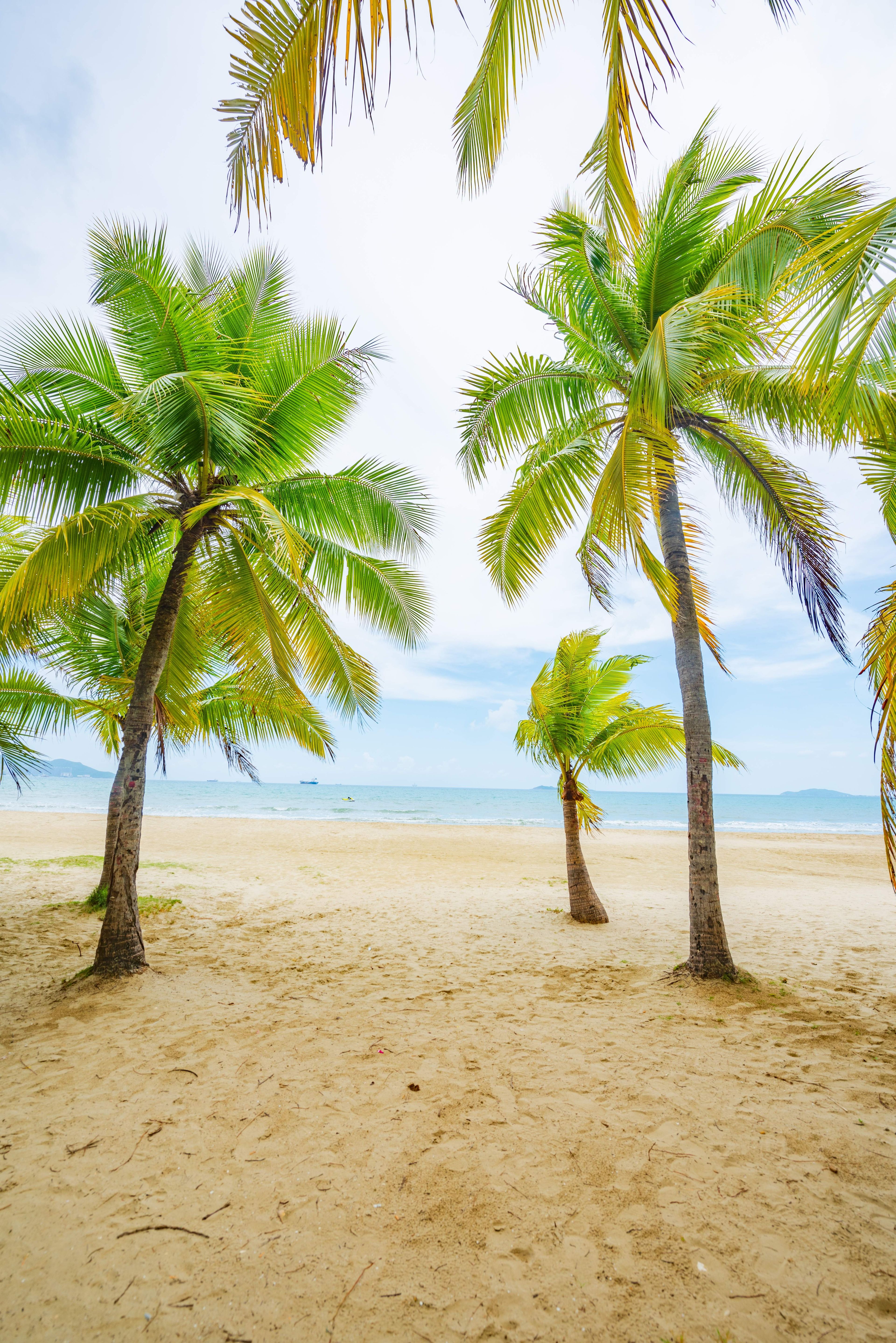 shutterstock_2589801403 (1).jpg