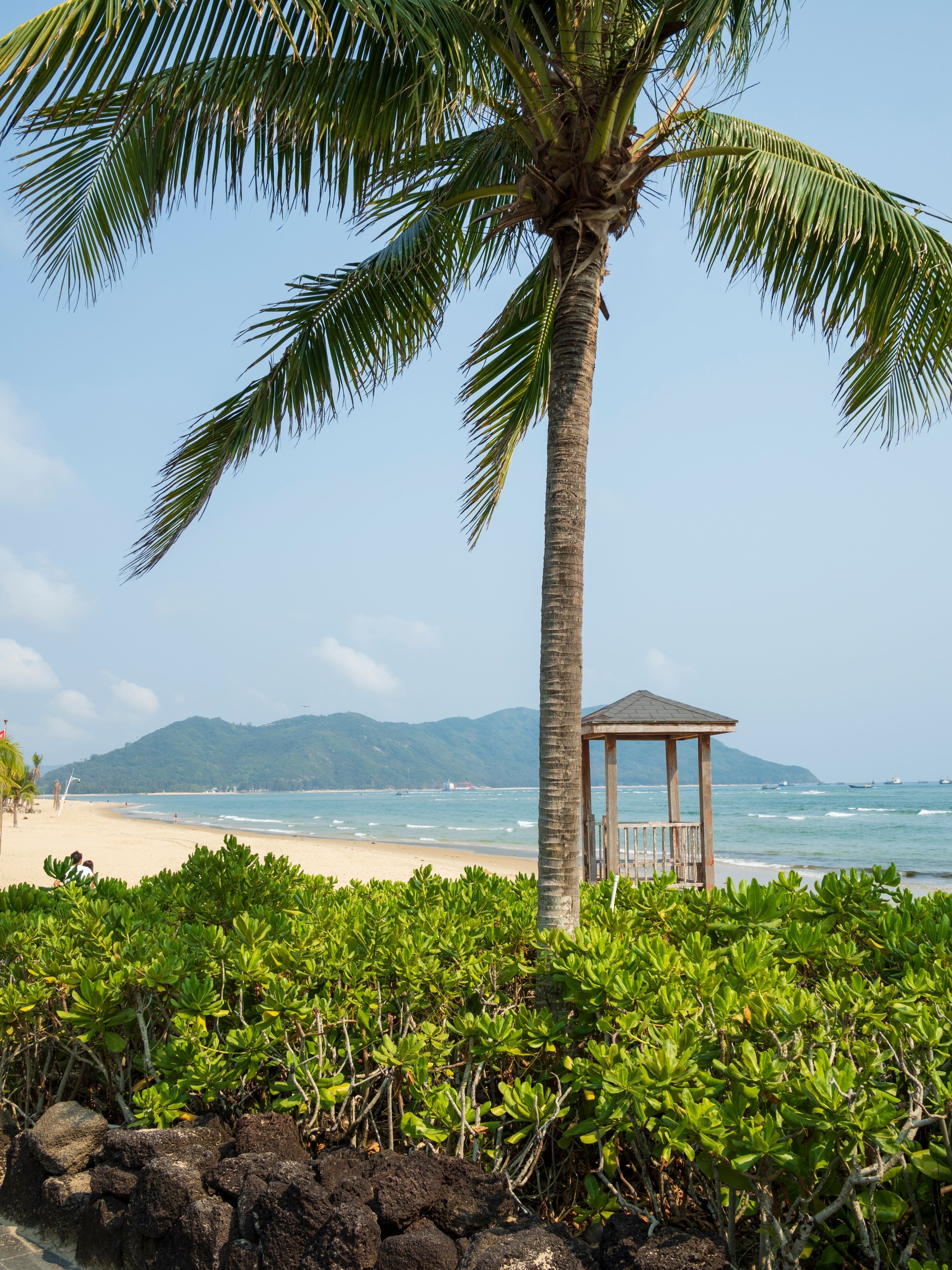shutterstock_2782036137 (1).jpg
