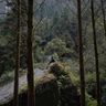 Карстовые горы Улун