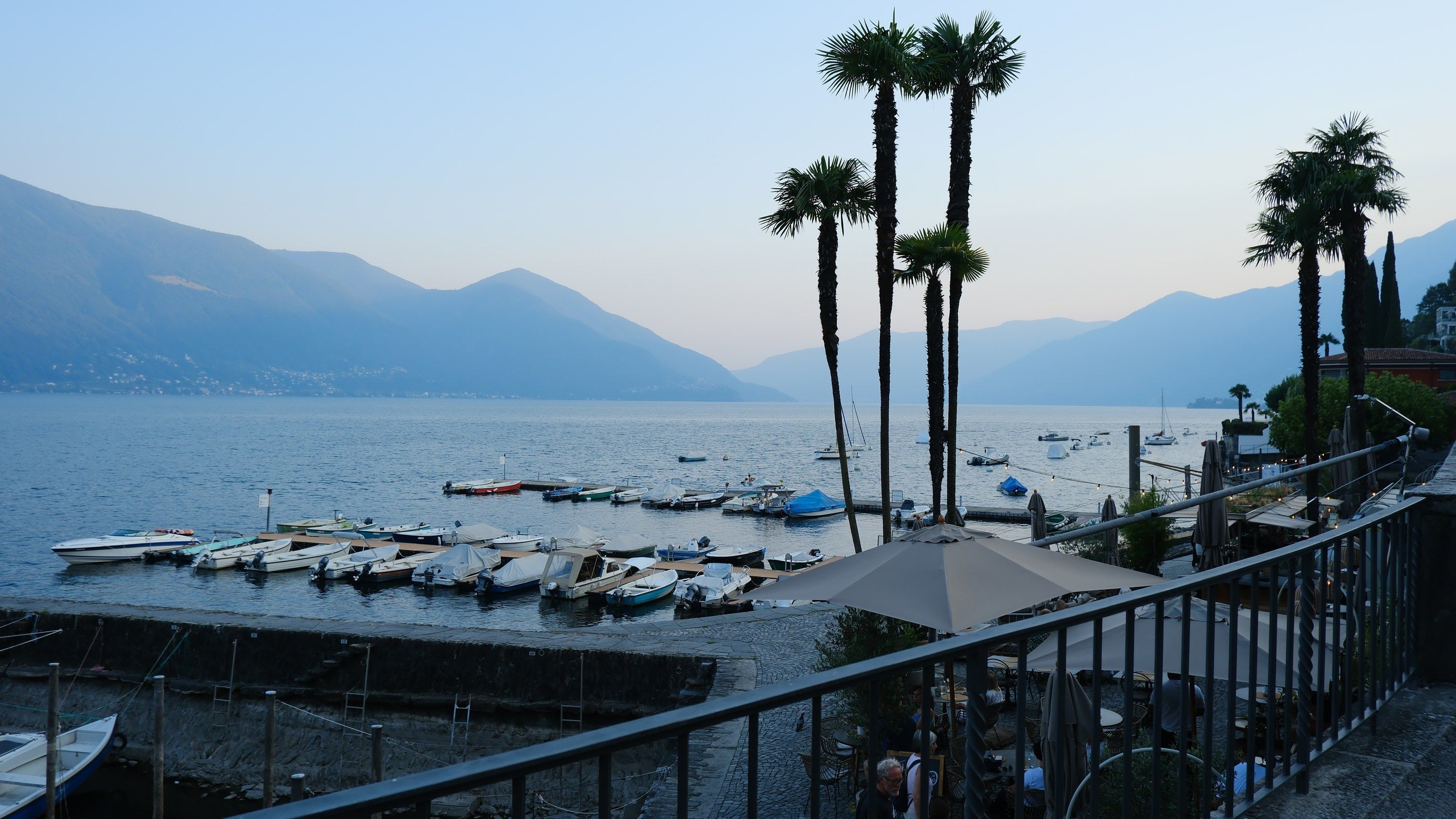03-harbor-palms-dusk.jpg