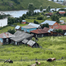 Село 