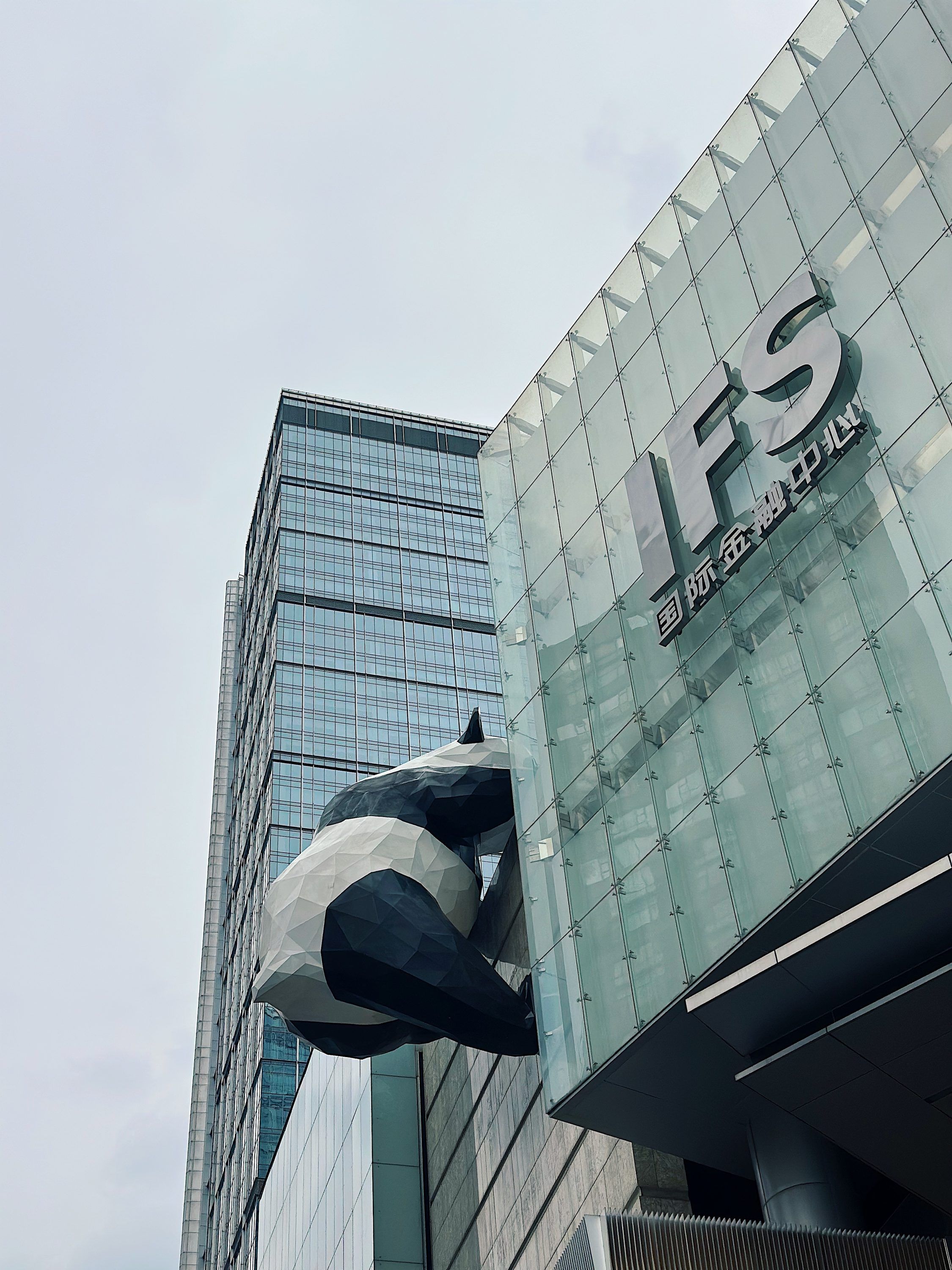 chengdu-panda-07.jpg