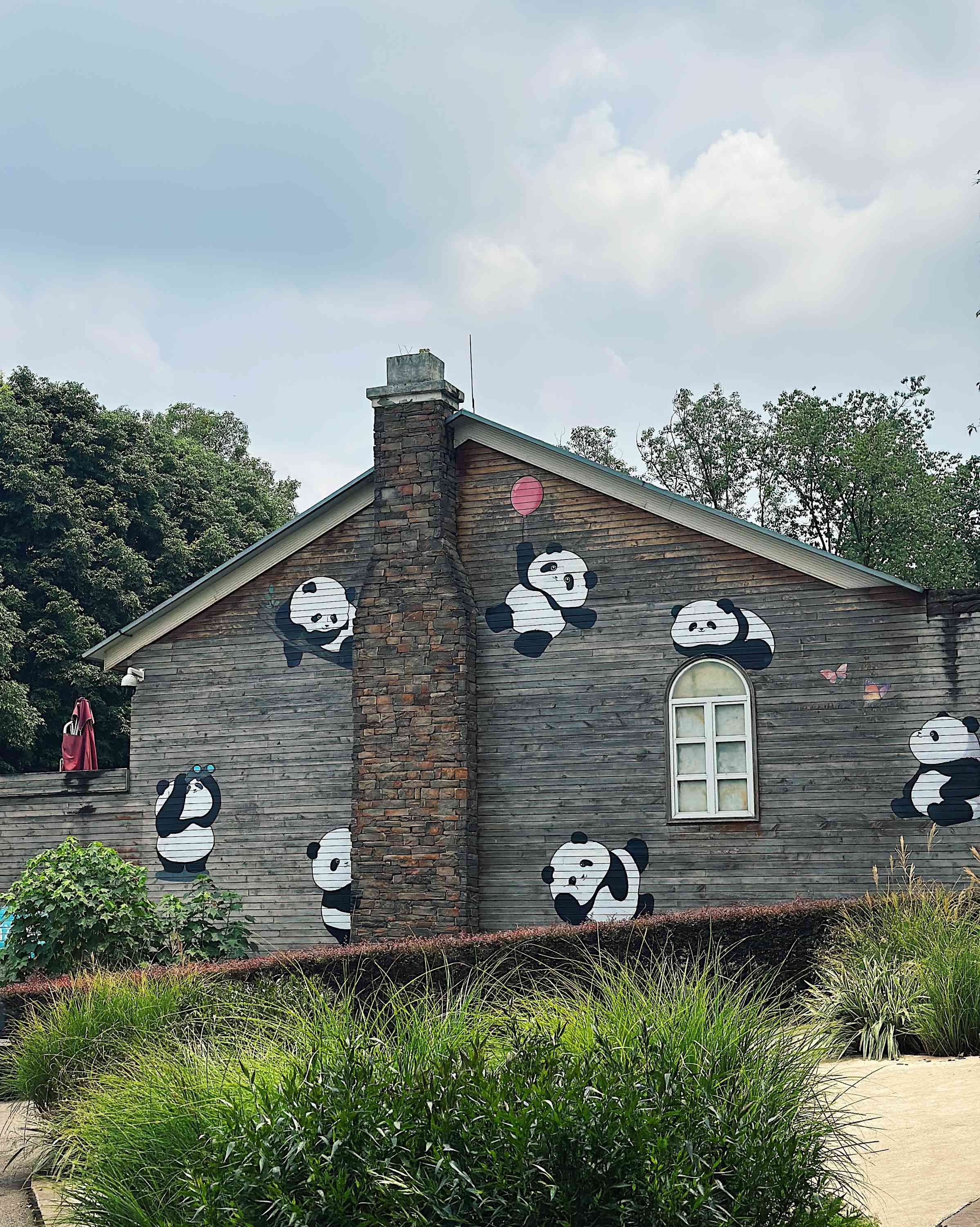 chengdu-panda-14.jpg