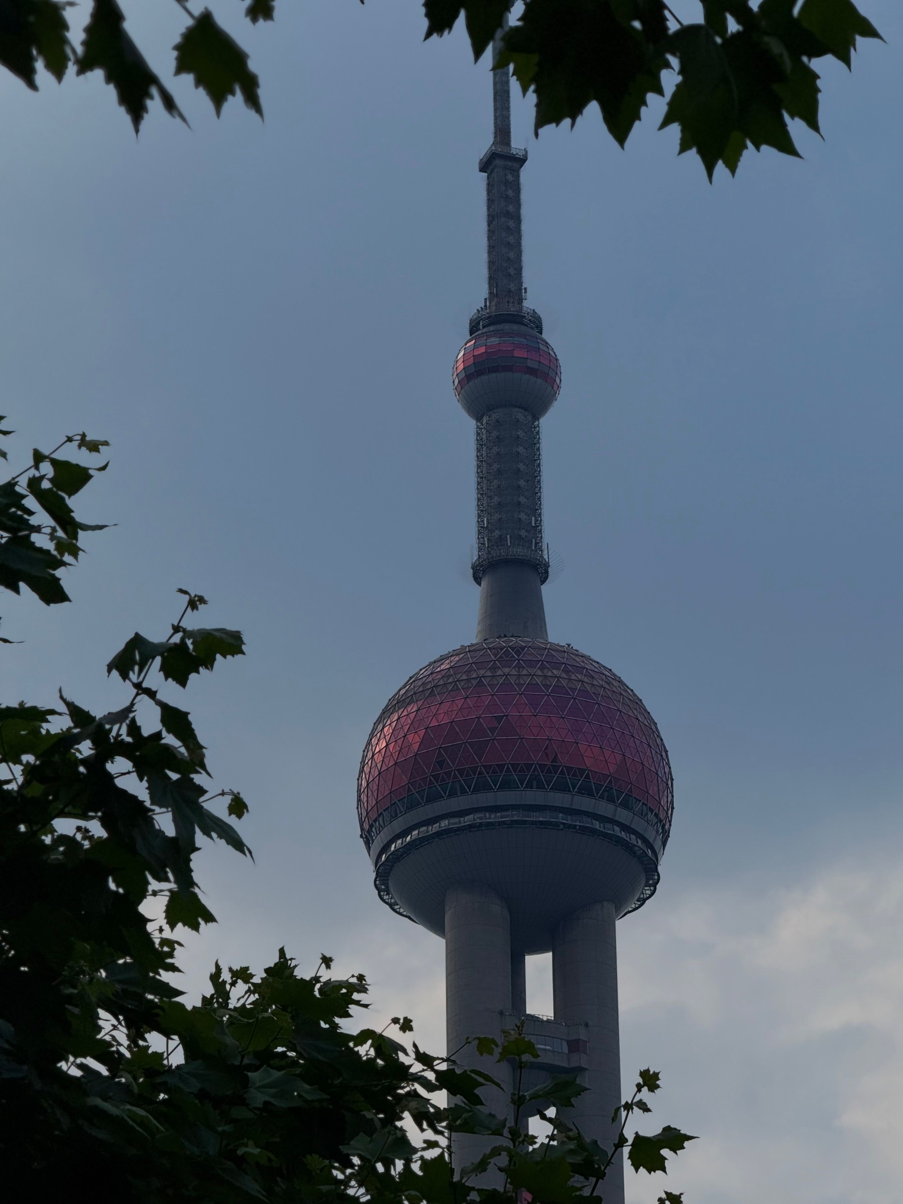 IMG_4544.jpeg
