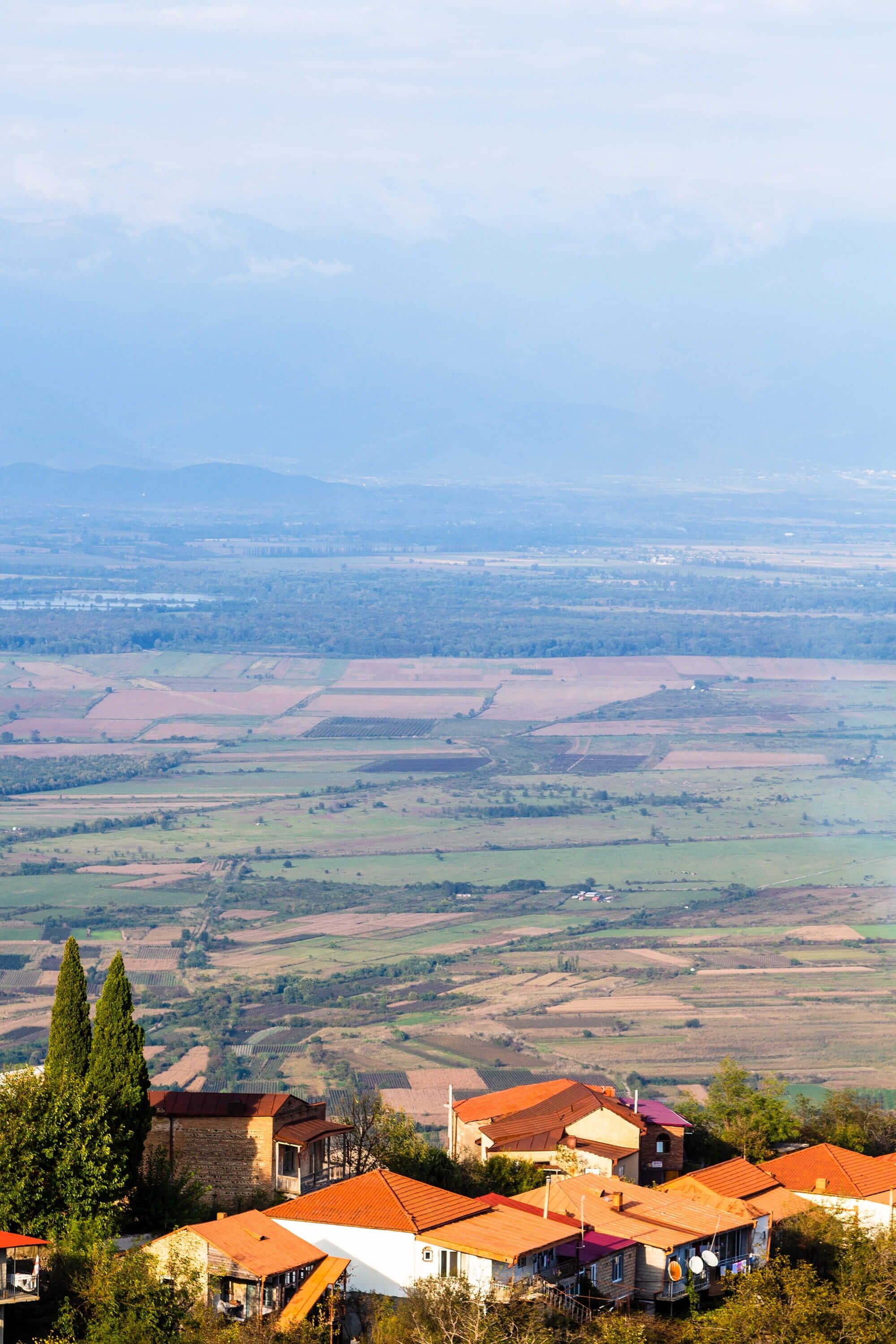 shutterstock_2400188845-2.jpg