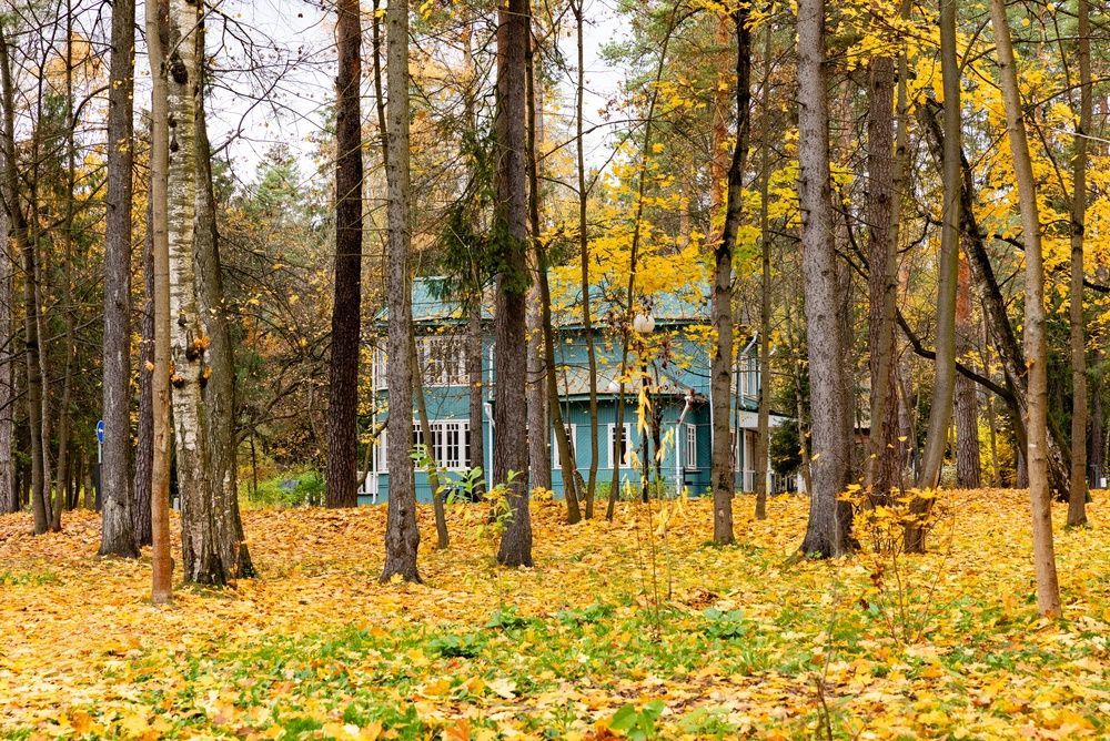 Дом в Переделкине