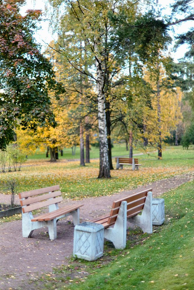 Парк 