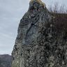 IMG_6910.jpg