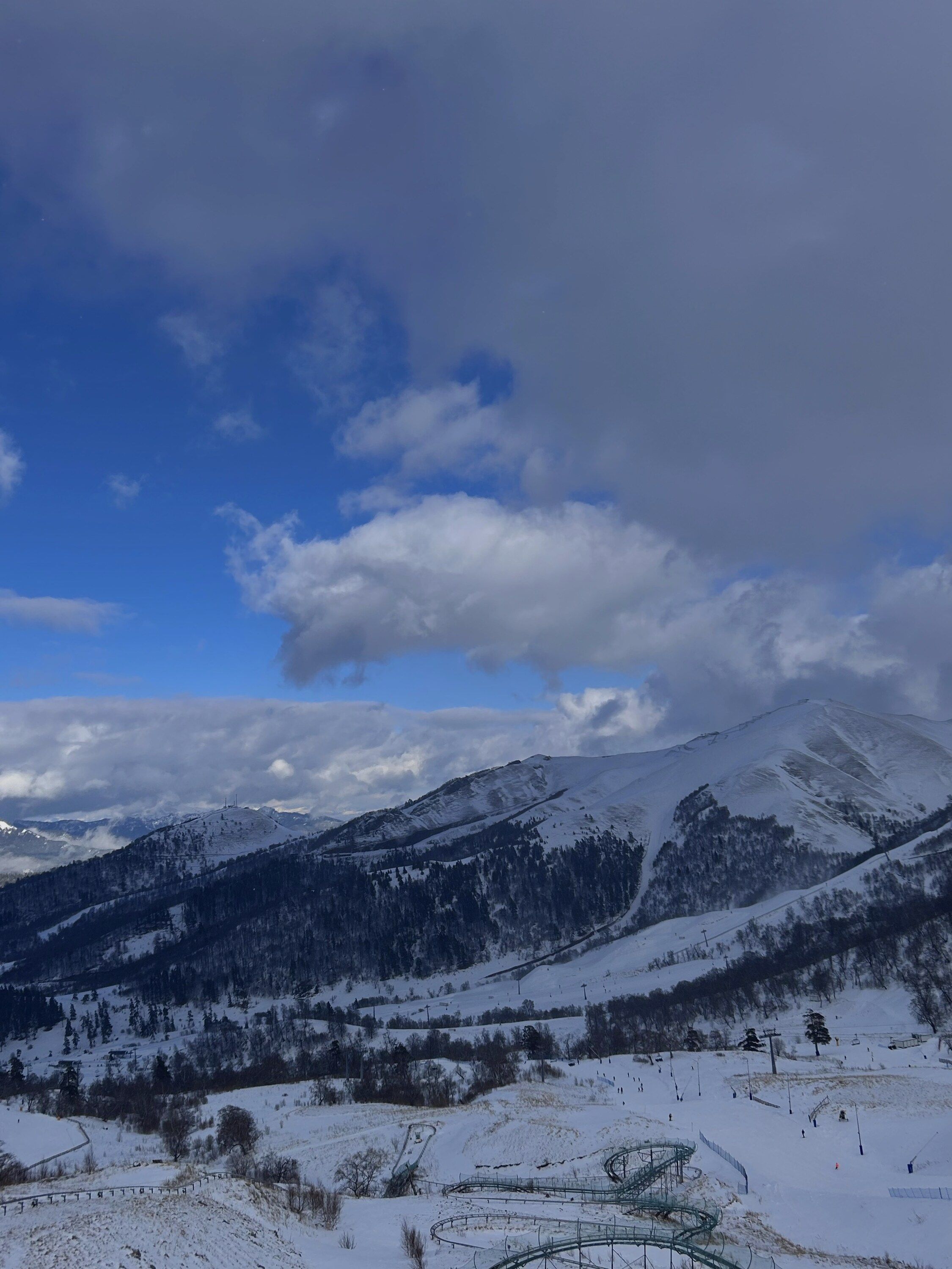 IMG_7448.jpg