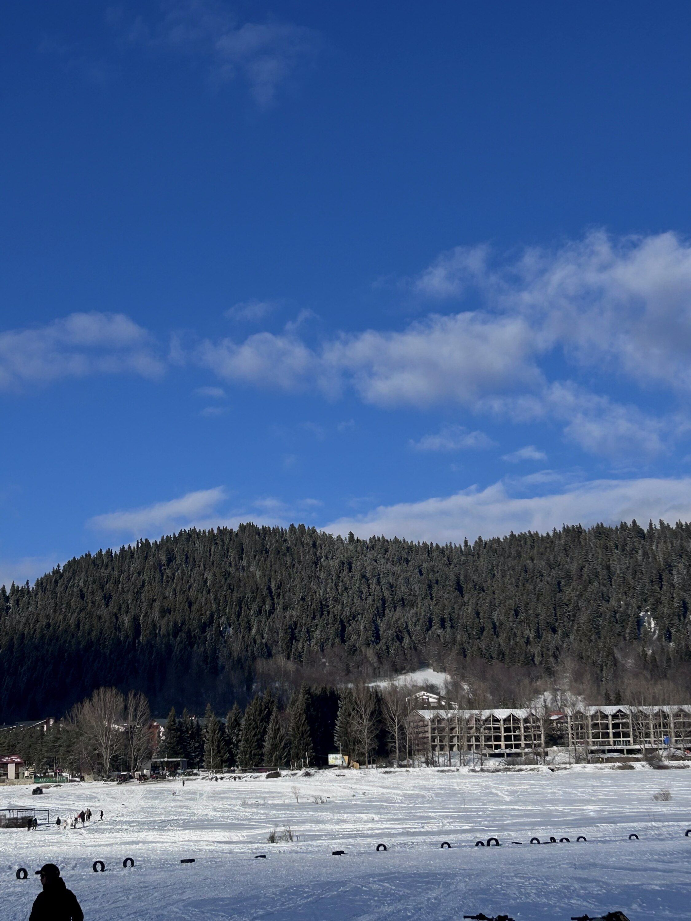 IMG_7510.jpg