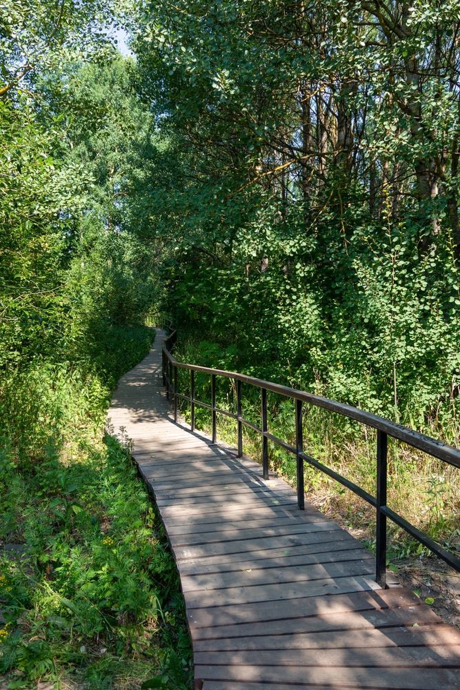 Экотропа в заказнике 